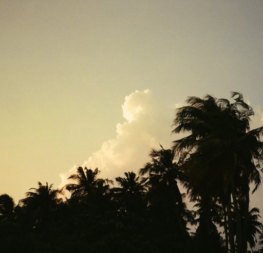 Туры на Мальдивы 2025 из Москвы - цена на отдых от туроператора Coral Travel