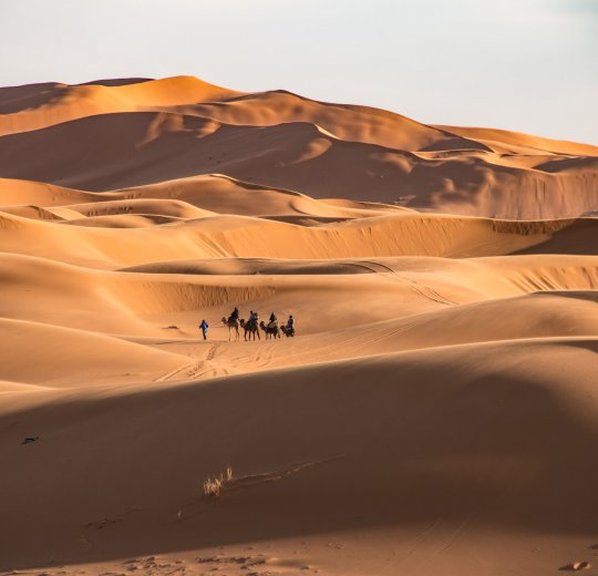 Туры в Марокко 2025 из Москвы - цена на отдых от туроператора Coral Travel