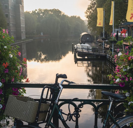 Туры в Нидерланды 2025 из Москвы - цена на отдых от туроператора Coral Travel