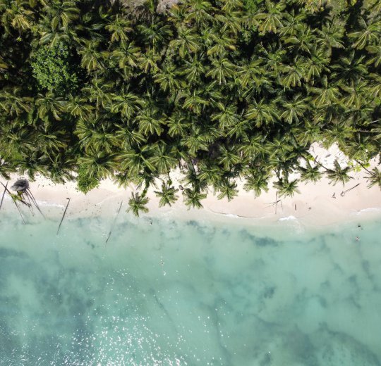 Туры в Панаму 2025 из Москвы - цена на отдых от туроператора Coral Travel