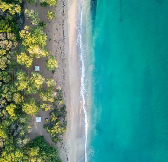 Туры в Гваделупу 2025 из Москвы - цена на отдых от туроператора Coral Travel