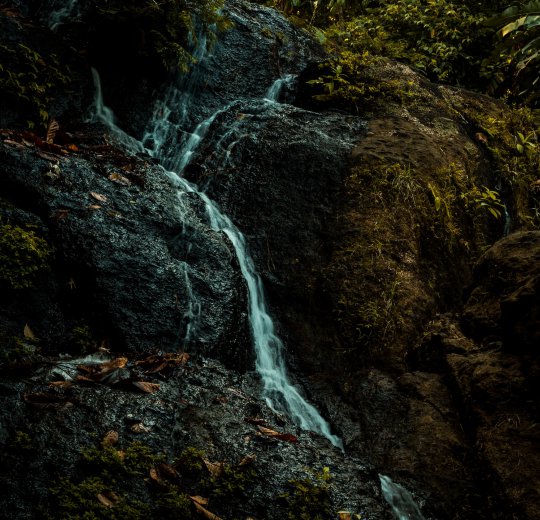 Туры в Гваделупу 2025 из Москвы - цена на отдых от туроператора Coral Travel