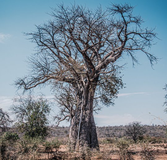 Туры  2025 из Москвы - цена на отдых от туроператора Coral Travel