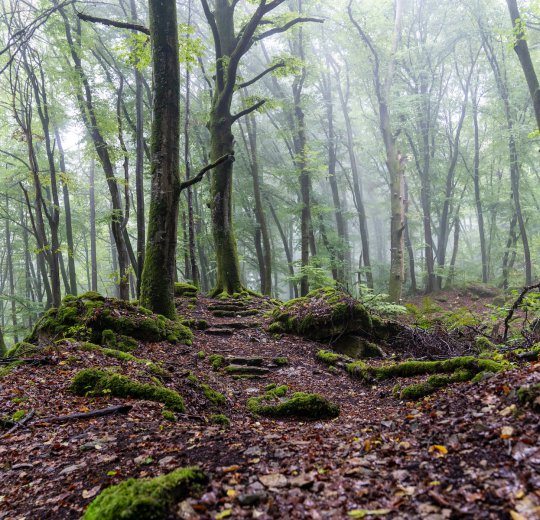 Туры  2025 из Москвы - цена на отдых от туроператора Coral Travel