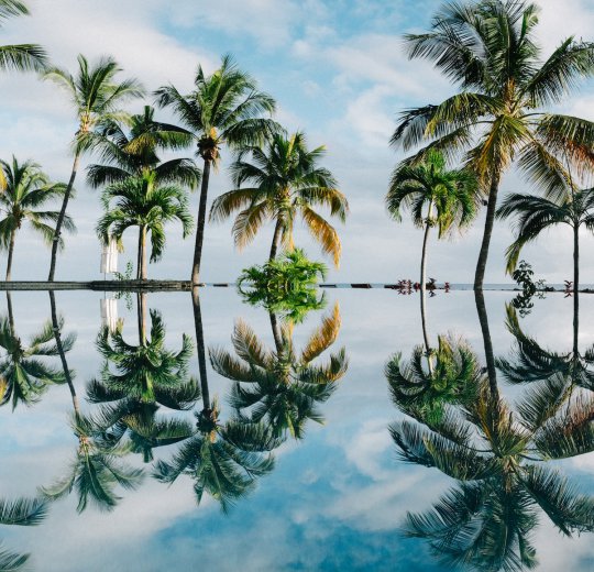 Туры на Маврикий 2025 из Москвы - цена на отдых от туроператора Coral Travel