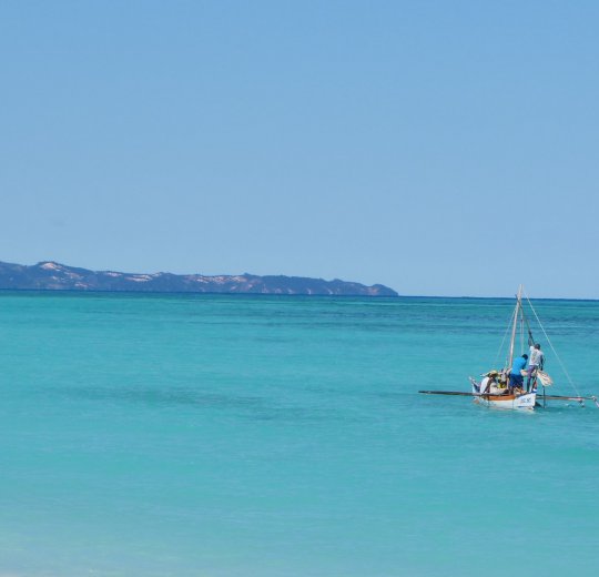 Туры  2025 из Москвы - цена на отдых от туроператора Coral Travel