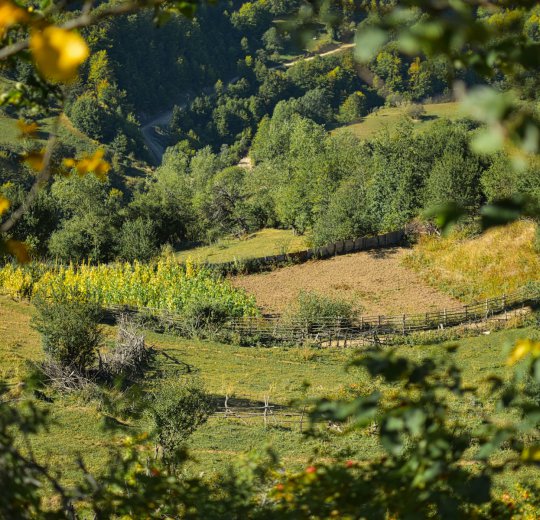 Туры  2025 из Москвы - цена на отдых от туроператора Coral Travel