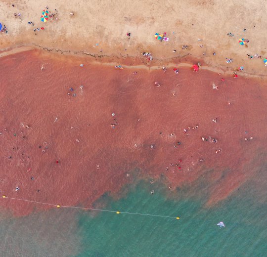 Туры в Парагвай 2025 из Москвы - цена на отдых от туроператора Coral Travel