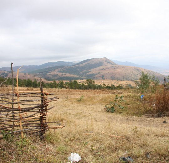 Туры в Свазиленд 2025 из Москвы - цена на отдых от туроператора Coral Travel