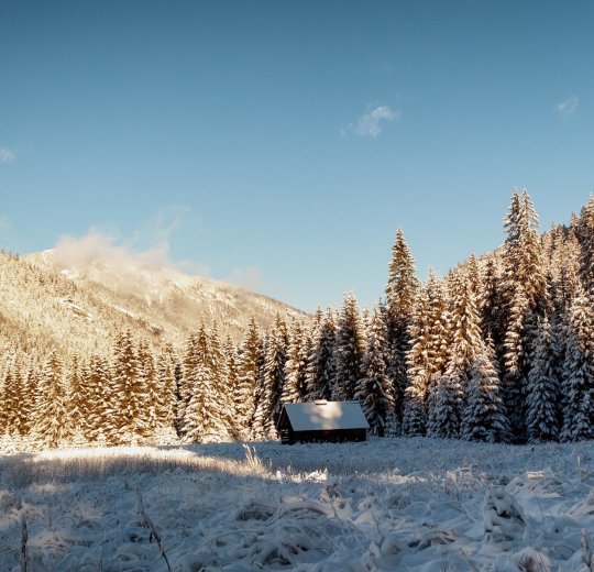 Туры  2025 из Москвы - цена на отдых от туроператора Coral Travel