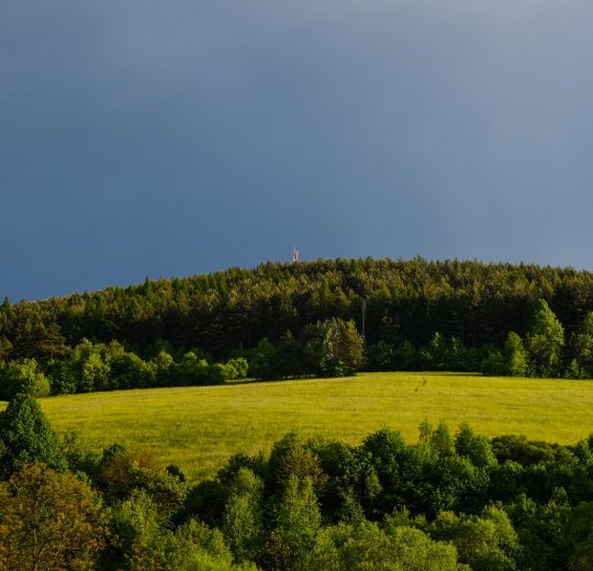 Туры  2025 из Москвы - цена на отдых от туроператора Coral Travel