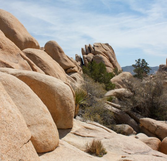 Туры в США 2025 из Москвы - цена на отдых от туроператора Coral Travel