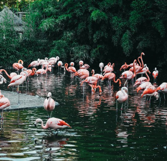 Туры в Чехию 2025 из Москвы - цена на отдых от туроператора Coral Travel