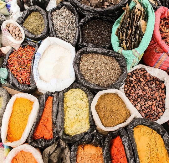 Туры в Эквадор 2025 из Москвы - цена на отдых от туроператора Coral Travel