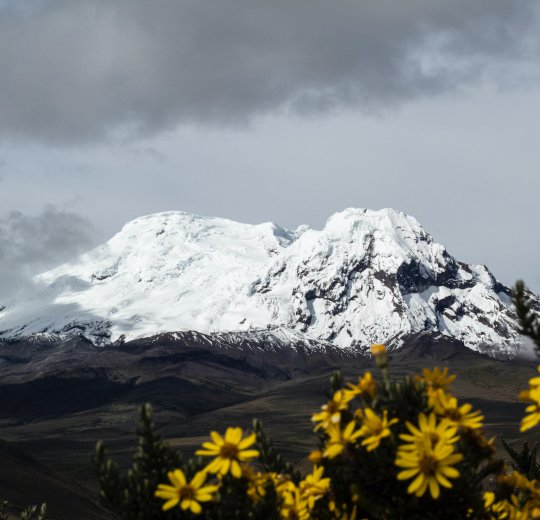 Туры в Эквадор 2025 из Москвы - цена на отдых от туроператора Coral Travel