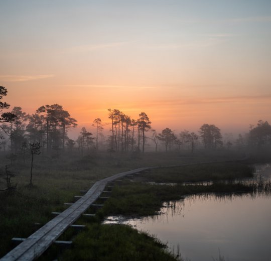Туры в Эстонию 2025 из Москвы - цена на отдых от туроператора Coral Travel