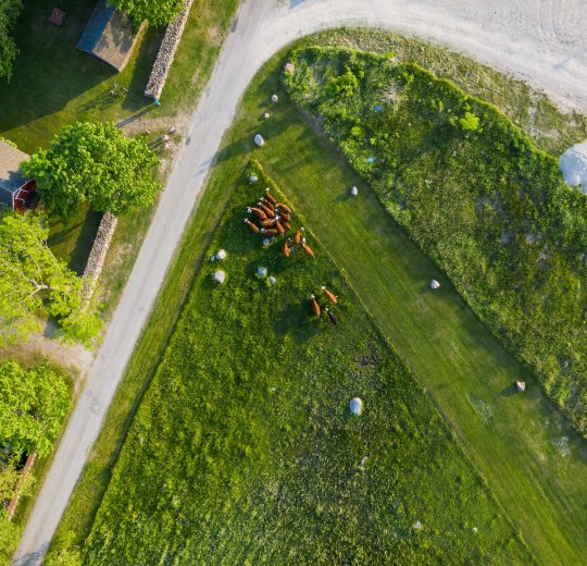 Туры в Эстонию 2025 из Москвы - цена на отдых от туроператора Coral Travel