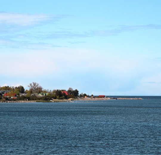 Туры в Эстонию 2025 из Москвы - цена на отдых от туроператора Coral Travel