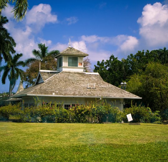 Туры на Ямайку 2025 из Москвы - цена на отдых от туроператора Coral Travel