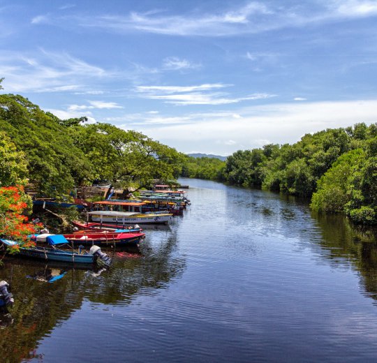 Туры на Ямайку 2025 из Москвы - цена на отдых от туроператора Coral Travel