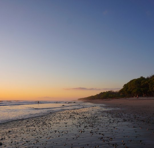 Туры в Коста-Рику 2025 из Москвы - цена на отдых от туроператора Coral Travel