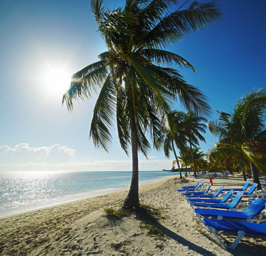 Туры на Багамы 2025 из Москвы - цена на отдых от туроператора Coral Travel