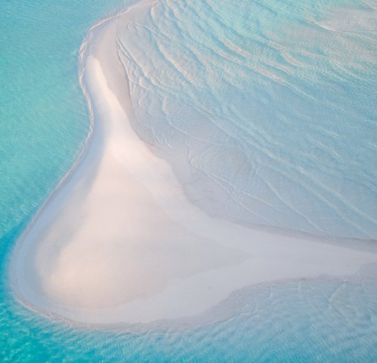 Туры на Багамы 2025 из Москвы - цена на отдых от туроператора Coral Travel