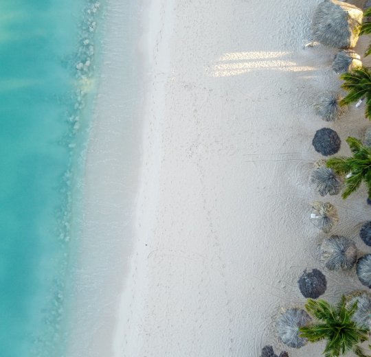 Туры на Арубу 2025 из Москвы - цена на отдых от туроператора Coral Travel