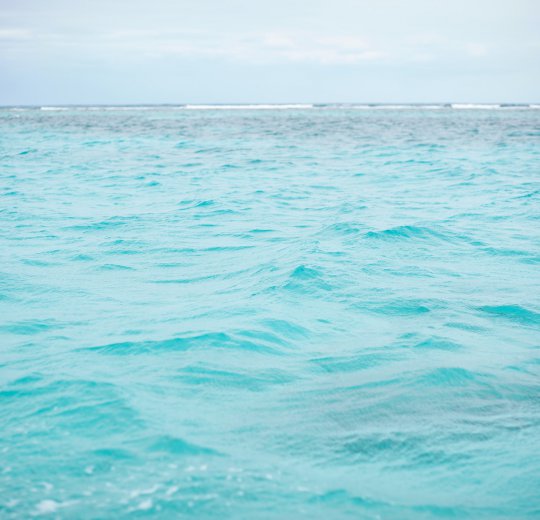 Туры в Белиз 2025 из Москвы - цена на отдых от туроператора Coral Travel