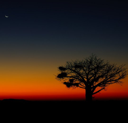 Туры в Ботсвану 2025 из Москвы - цена на отдых от туроператора Coral Travel