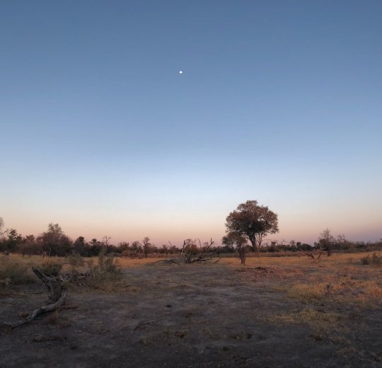 Туры в Ботсвану 2025 из Москвы - цена на отдых от туроператора Coral Travel