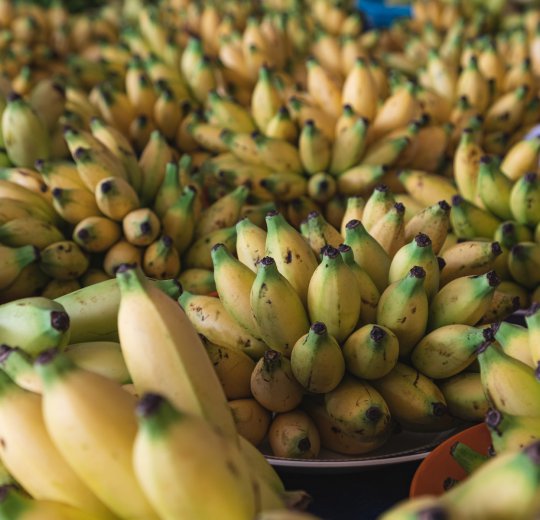 Туры в Бруней 2025 из Москвы - цена на отдых от туроператора Coral Travel