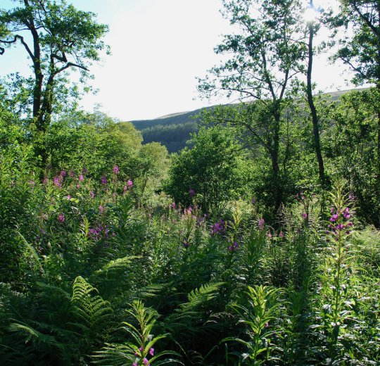 Туры в Новый Афон 2025 - цены на путевки в Абхазию из Москвы от туроператора Coral Travel