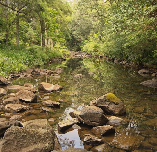Туры в Новый Афон 2025 - цены на путевки в Абхазию из Москвы от туроператора Coral Travel