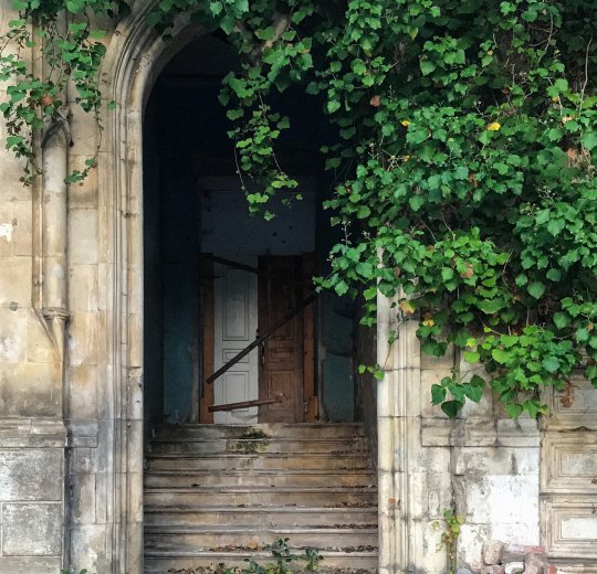 Туры в Сухум 2025 - цены на путевки в Абхазию из Москвы от туроператора Coral Travel