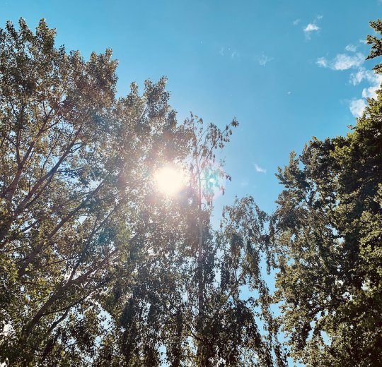 Туры в Баден 2025 - цены на путевки в Австрию из Москвы от туроператора Coral Travel