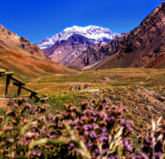 Туры в Мендосу 2025 - цены на путевки в Аргентину из Москвы от туроператора Coral Travel