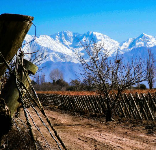 Туры в Мендосу 2025 - цены на путевки в Аргентину из Москвы от туроператора Coral Travel