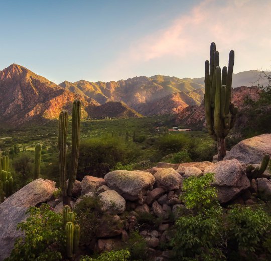 Туры в Сальту 2025 - цены на путевки в Аргентину из Москвы от туроператора Coral Travel