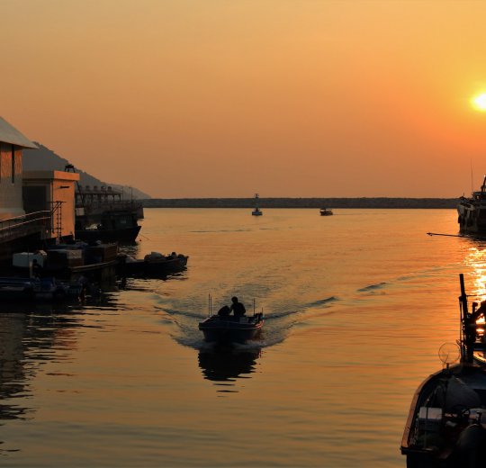 Туры на о. Эльютера 2025 - цены на путевки на Багамы из Москвы от туроператора Coral Travel