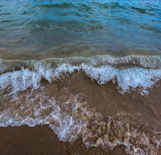 Туры в Албену 2025 - цены на путевки в Болгарию из Москвы от туроператора Coral Travel