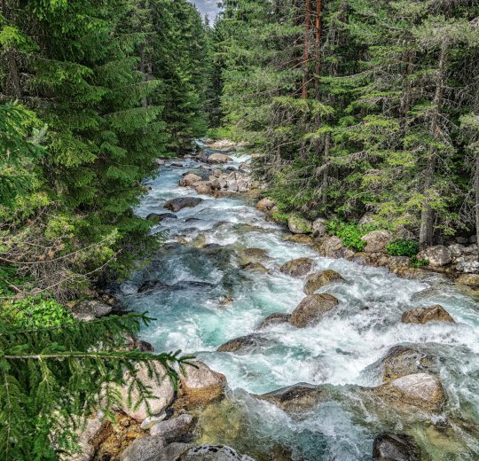 Туры в Банско 2025 - цены на путевки в Болгарию из Москвы от туроператора Coral Travel