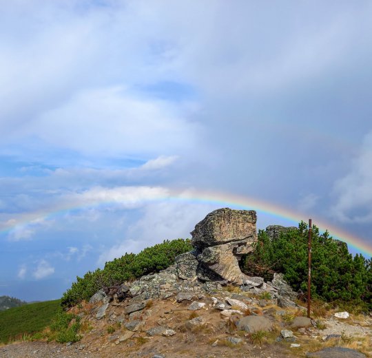 Туры в Боровец 2025 - цены на путевки в Болгарию из Москвы от туроператора Coral Travel