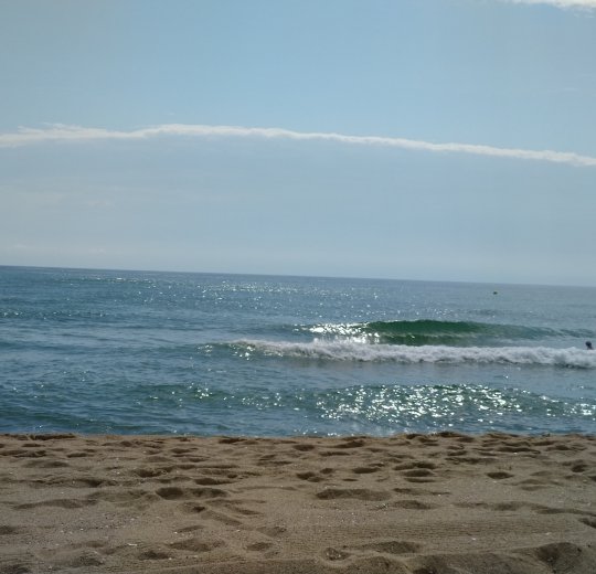 Туры в Обзор 2025 - цены на путевки в Болгарию из Москвы от туроператора Coral Travel