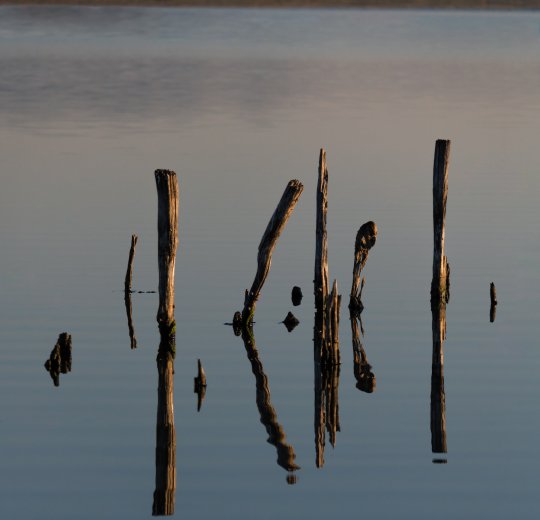 Туры в Поморие 2025 - цены на путевки в Болгарию из Москвы от туроператора Coral Travel