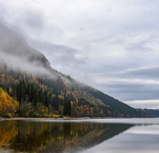 Туры в Св. Константин и Елену 2025 - цены на путевки в Болгарию из Москвы от туроператора Coral Travel