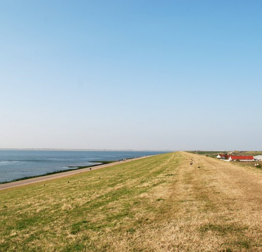 Туры в Солнечный День 2025 - цены на путевки в Болгарию из Москвы от туроператора Coral Travel