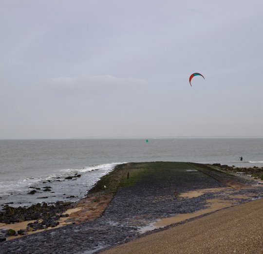 Туры в Солнечный День 2025 - цены на путевки в Болгарию из Москвы от туроператора Coral Travel