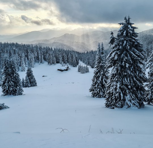 Туры в Пампорово 2025 - цены на путевки в Болгарию из Москвы от туроператора Coral Travel