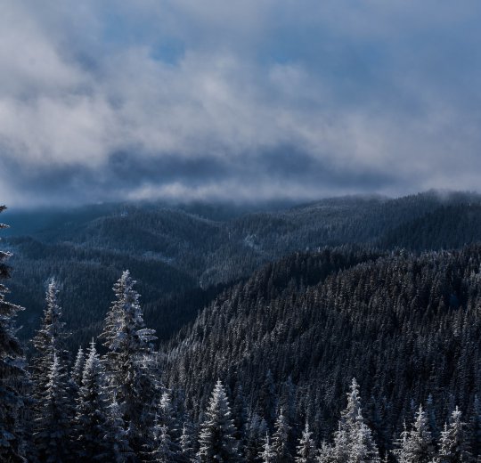Туры в Пампорово 2025 - цены на путевки в Болгарию из Москвы от туроператора Coral Travel